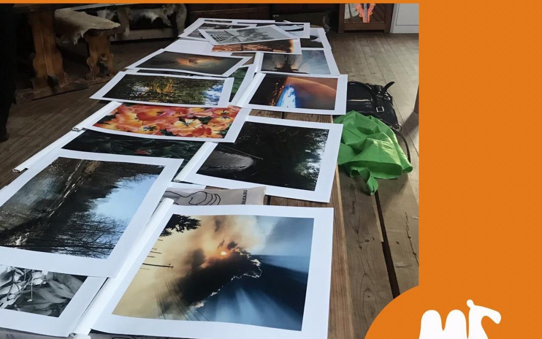 Фотовыставка гимназического фотоклуба в парке «Кочевник»